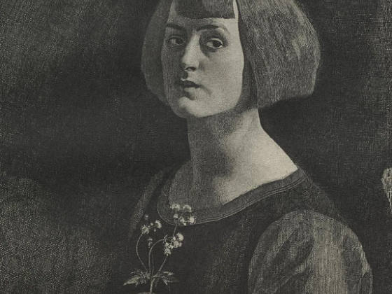 布罗克赫斯特版画人物《花毛茛》