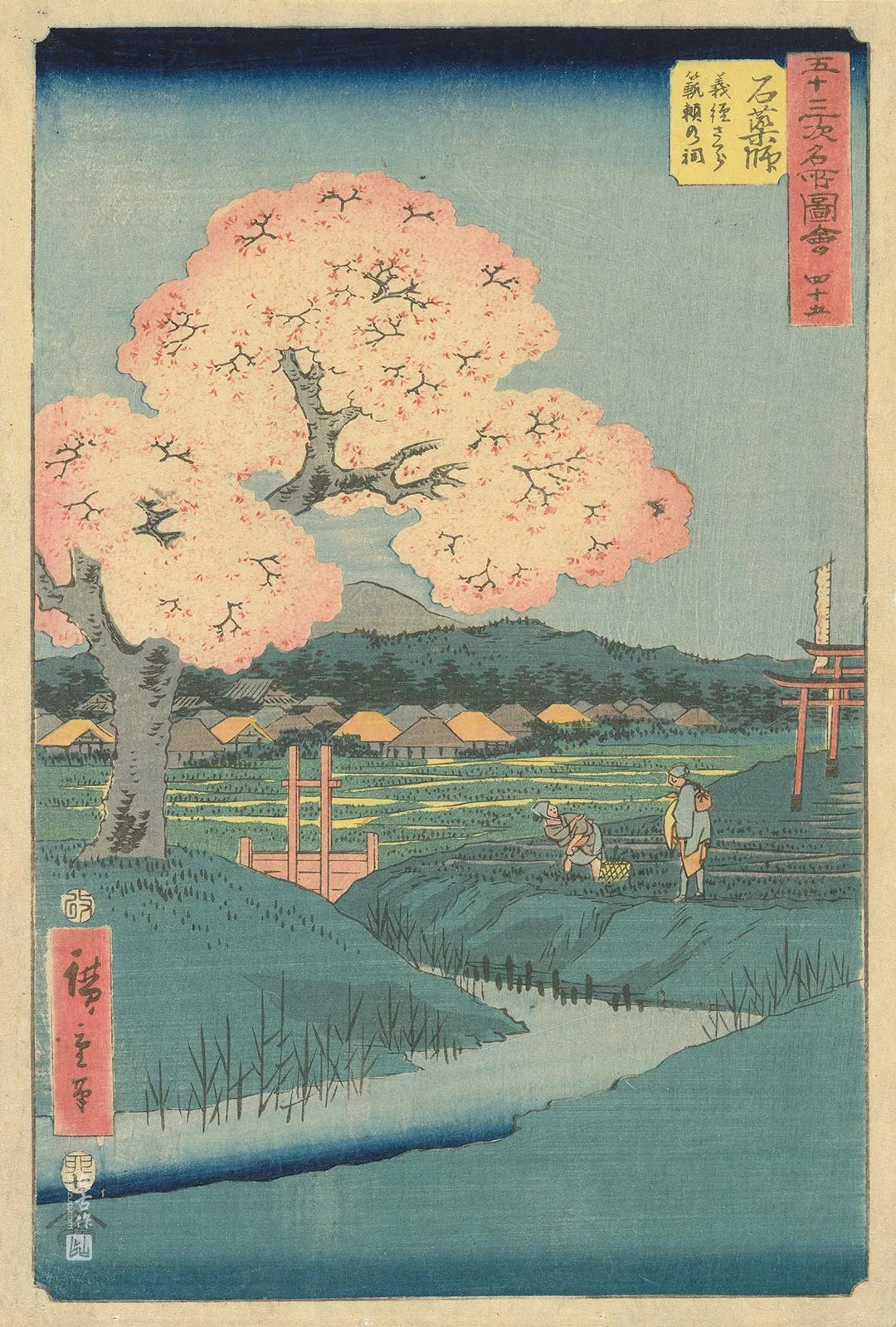 歌川广重《石药师:范赖神社旁的义经樱》