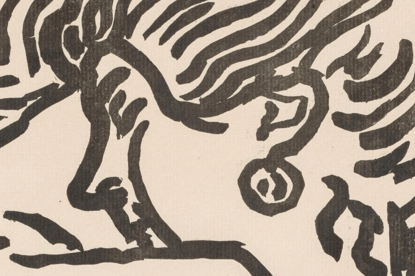 亨利·马蒂斯《大幅木版画》局部 (1)