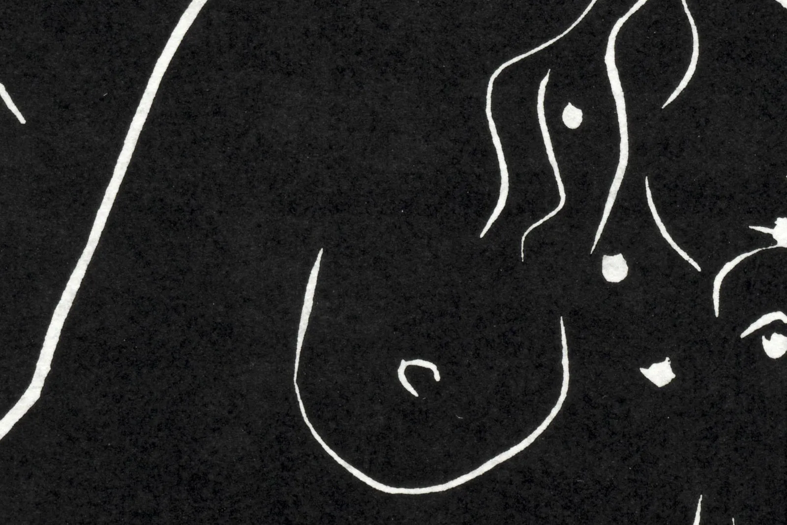 马蒂斯亚麻油毡版画《戴手镯的裸女》局部 (3)