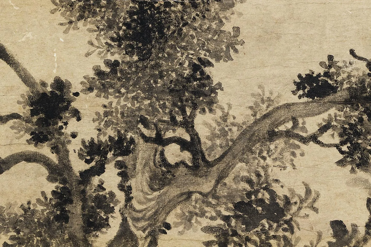 张舜咨《树石图》局部 (2)