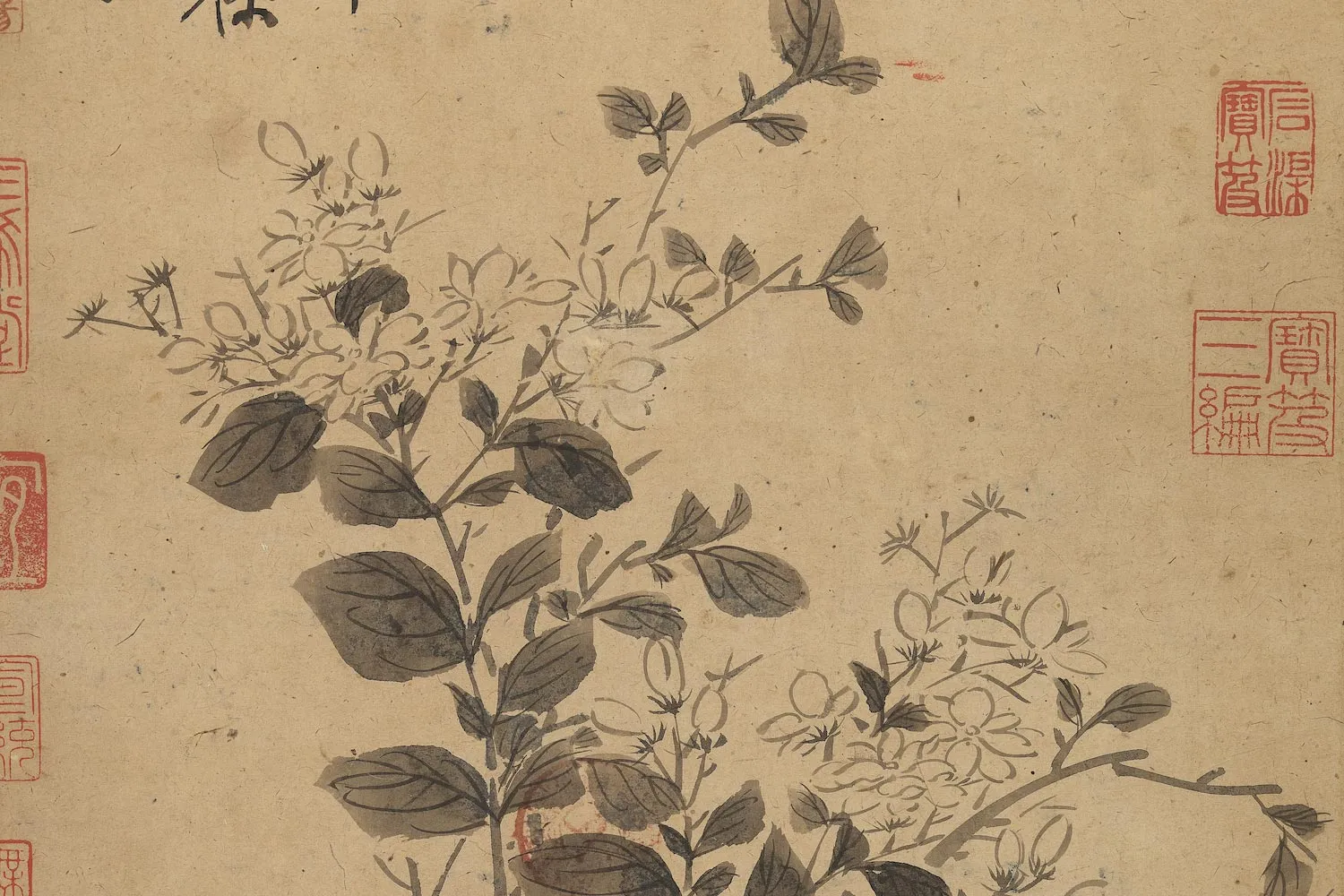 陈淳花卉《茉莉图》局部 (1)