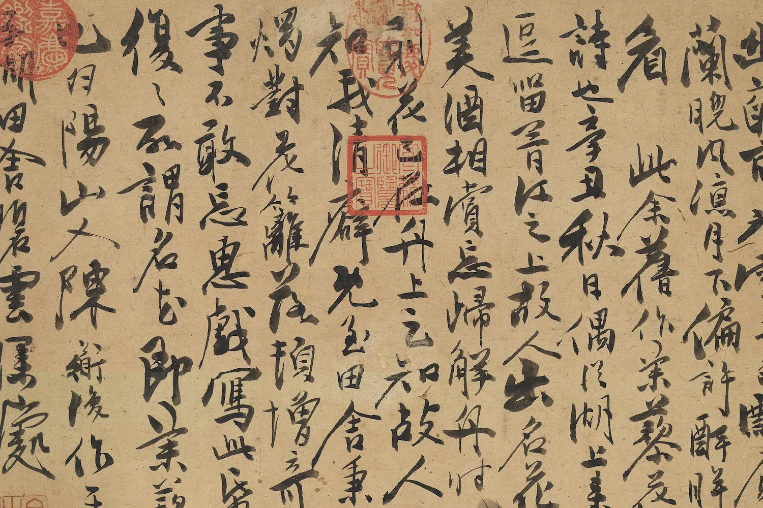 陈淳花卉《茉莉图》局部 (2)