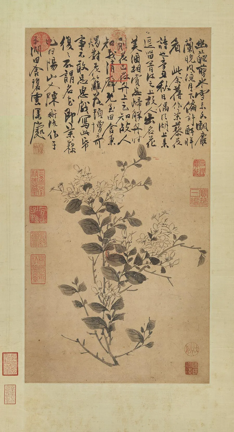 陈淳花卉《茉莉图》轴