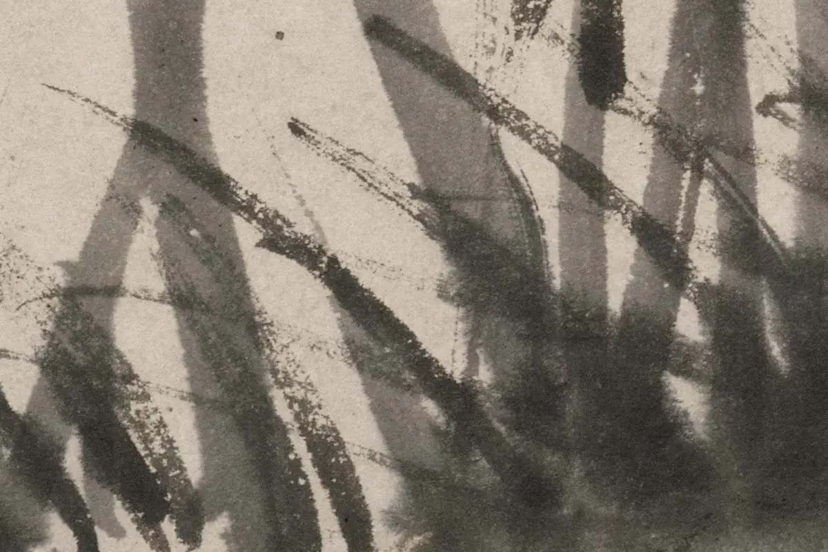 文彭水墨兰花《墨兰图》高清大图局部细节 (3)