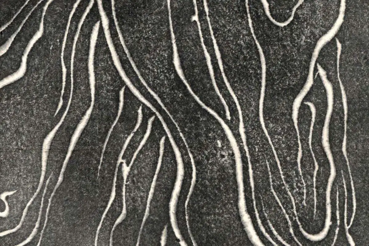 吴道子《观音菩萨像》拓片高清大图局部细节 (6)