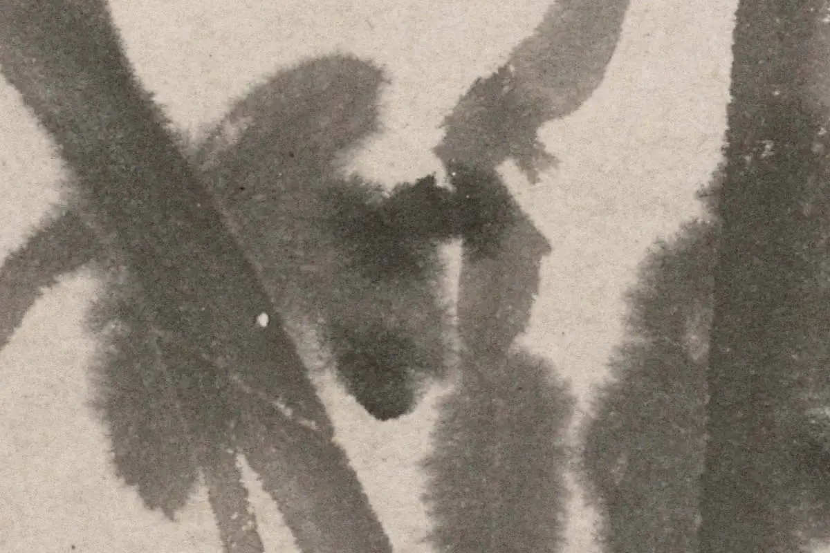 文彭水墨兰花《墨兰图》高清大图局部细节 (1)