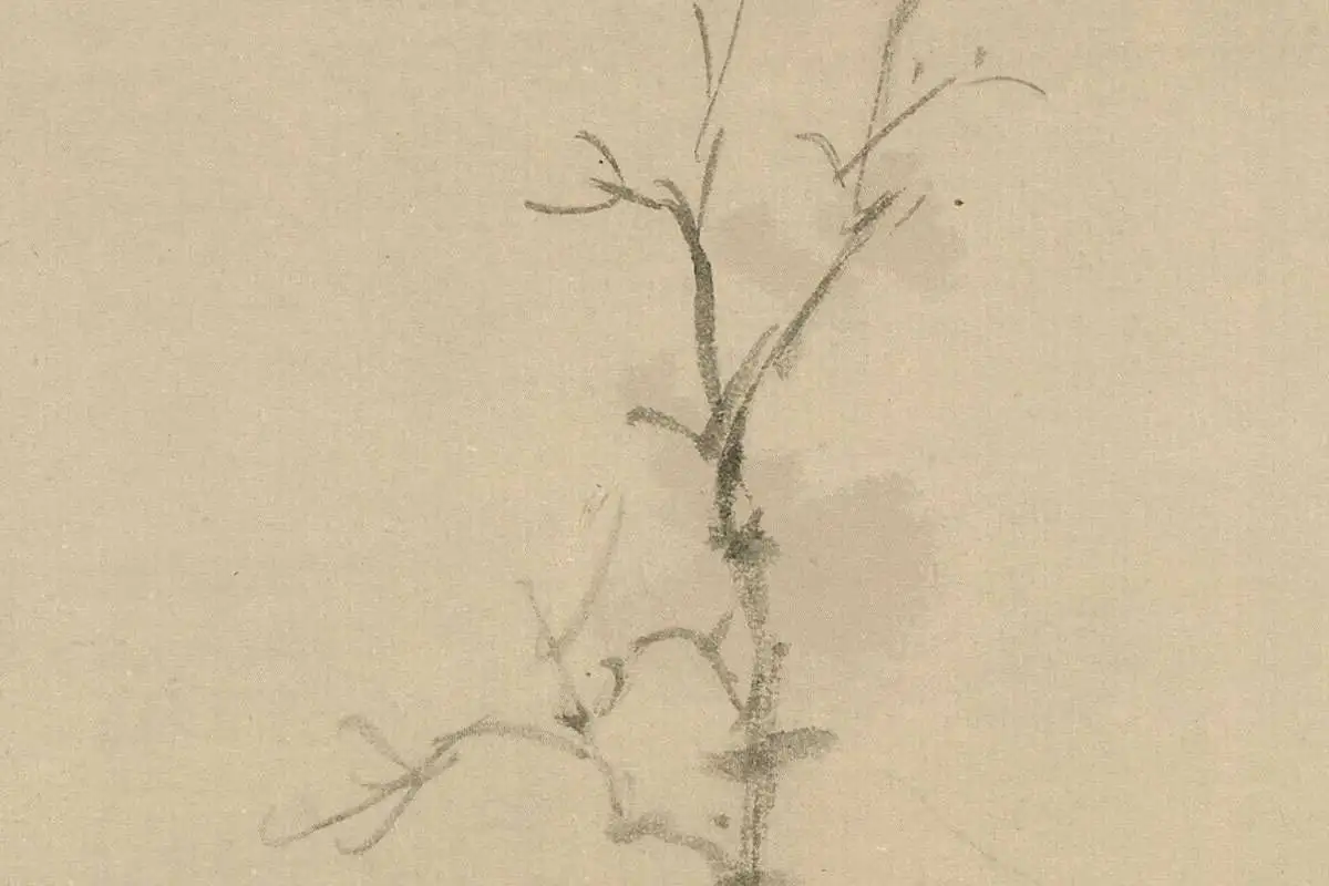 清·恽寿平《仿倪瓒古木丛篁图》高清大图局部细节 (12)