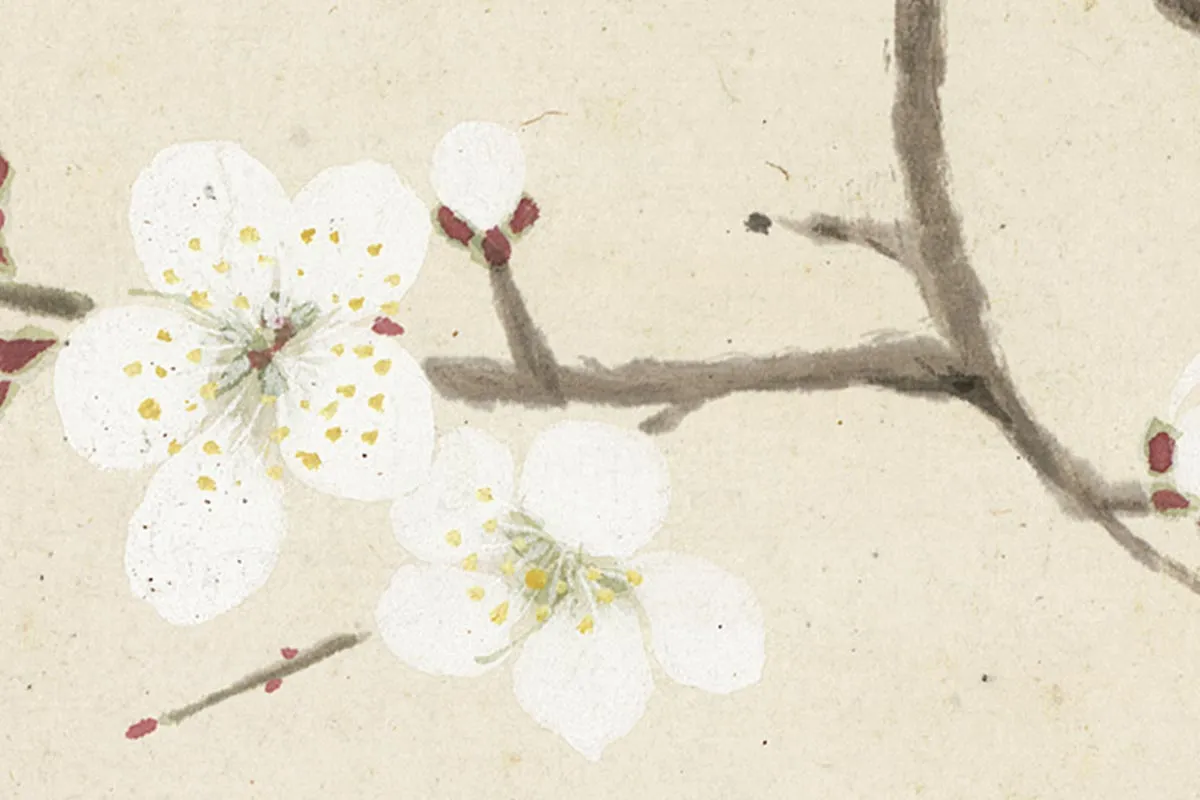 1.项圣谟《花卉十开册页·折枝白色梅花》高清局部细节