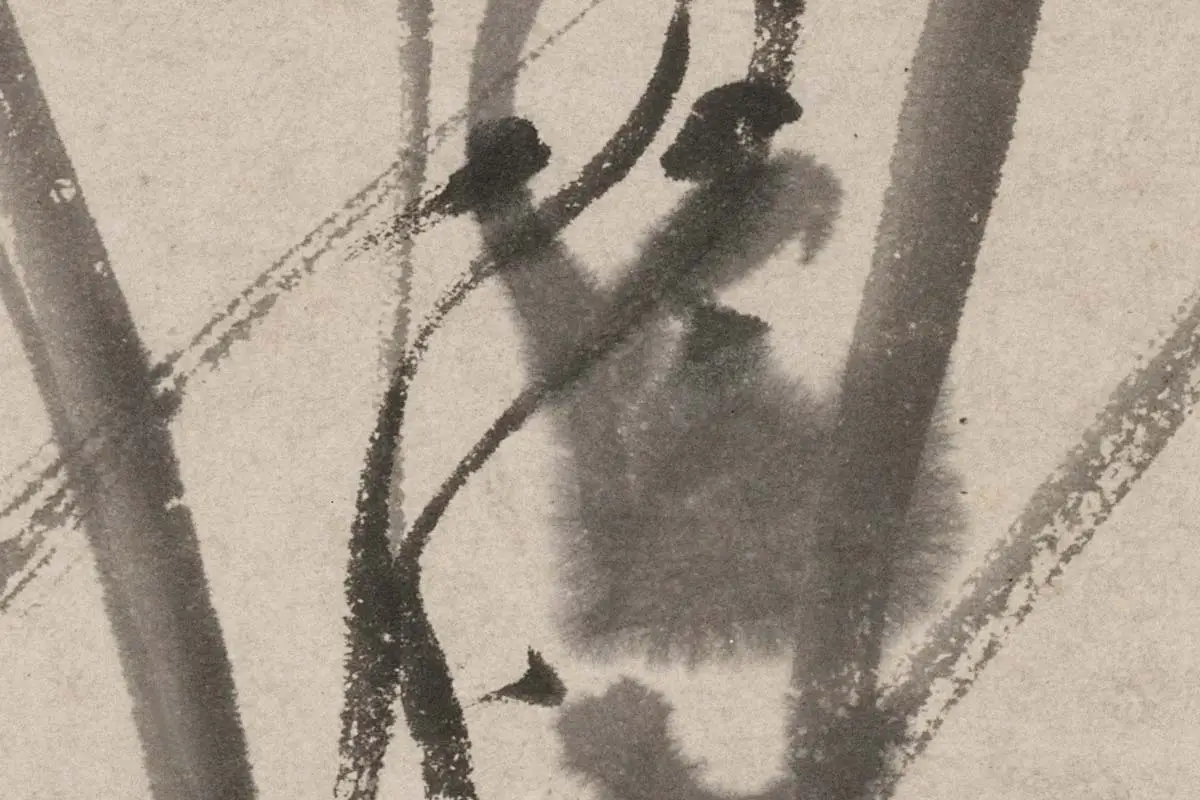 文彭水墨兰花《墨兰图》高清大图局部细节 (7)