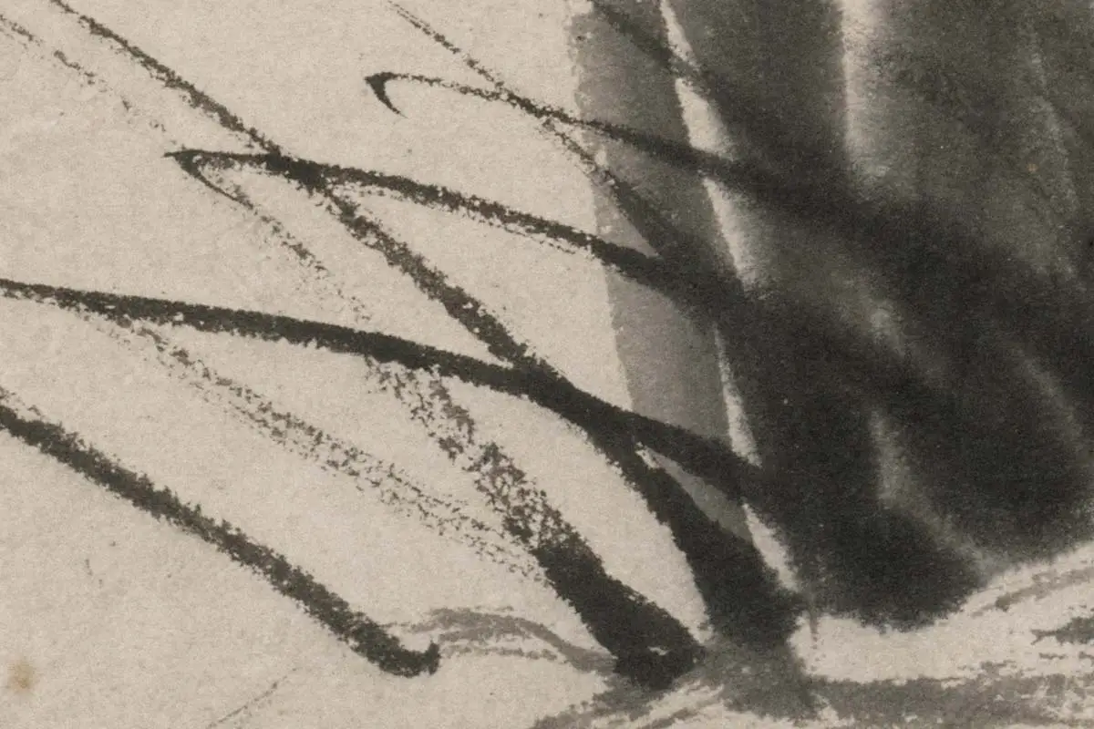 文彭水墨兰花《墨兰图》高清大图局部细节 (4)