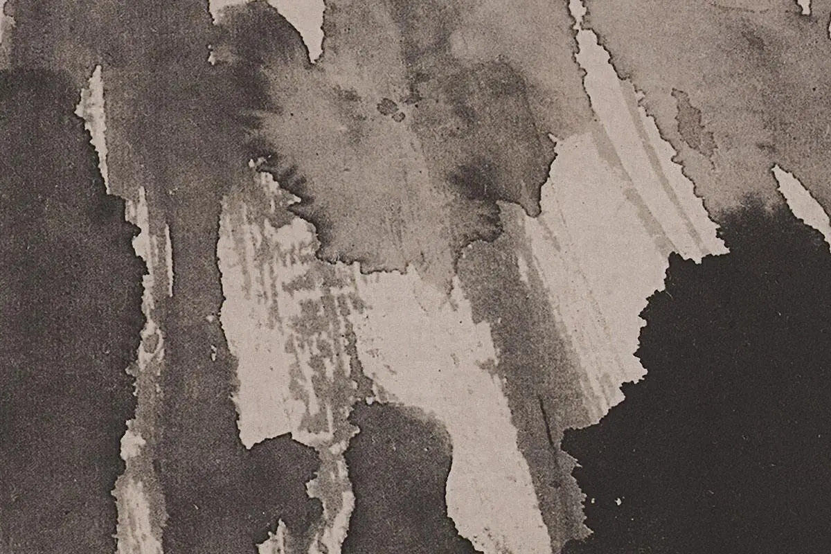 徐渭水墨写意《黄甲图》高清大图局部细节 (2)