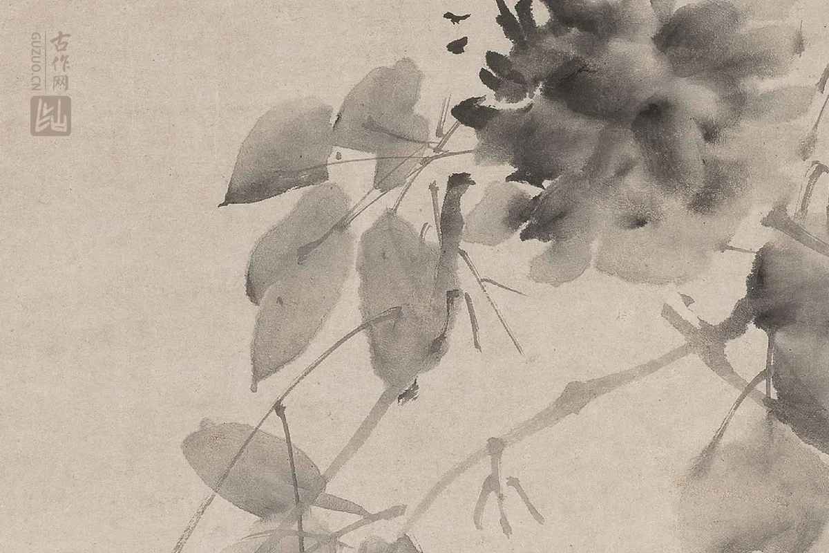 徐渭《水墨牡丹图》局部 (2)