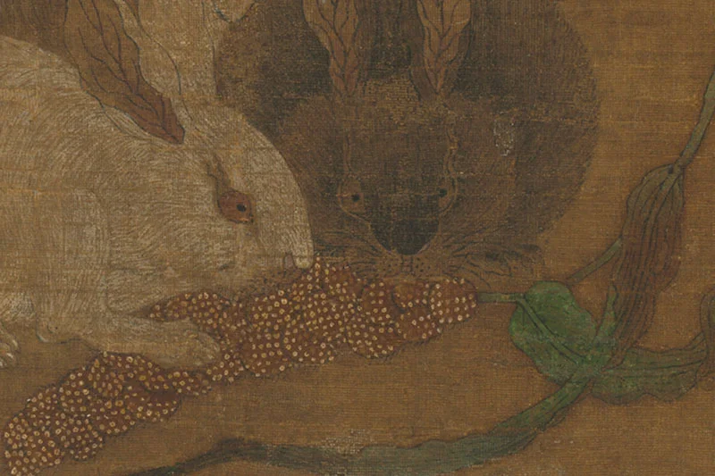 崔白画兔《四瑞图》局部 (1)