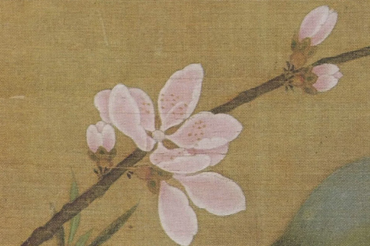 赵佶花鸟画《桃鸠图》局部 (2)