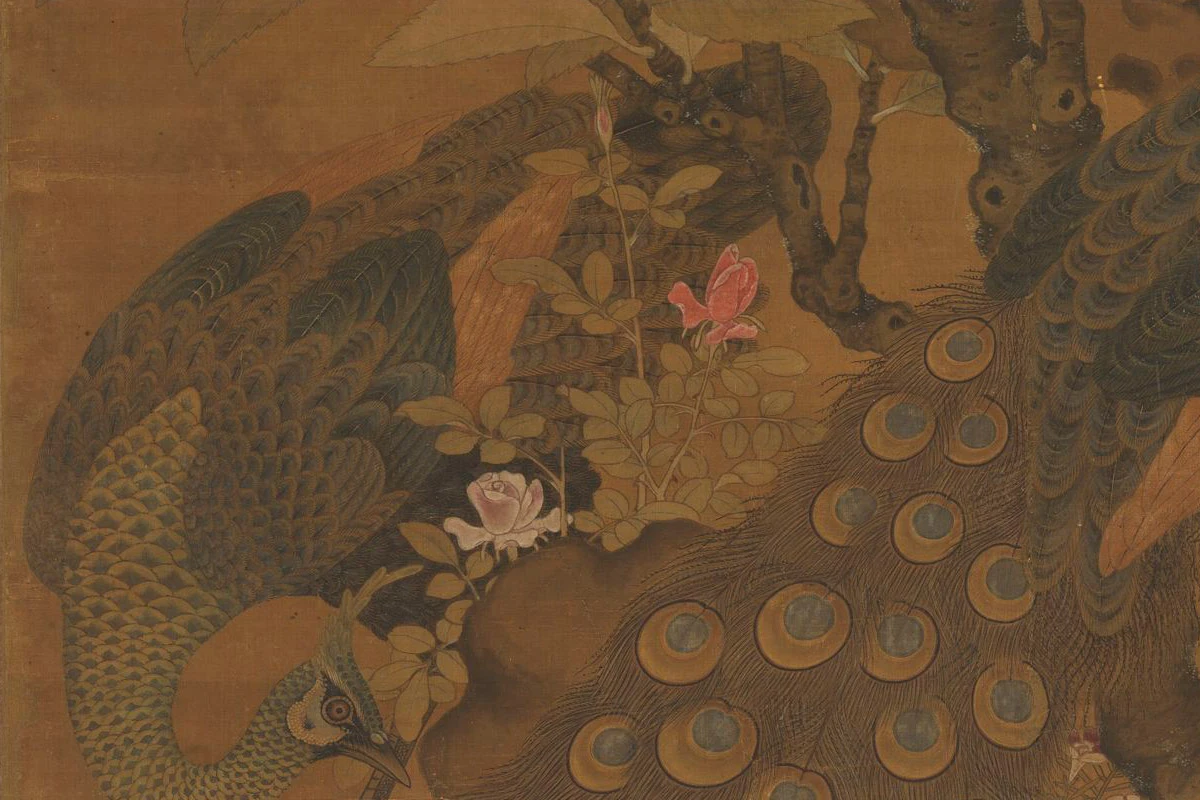 崔白《枇杷孔雀图》局部 (2)