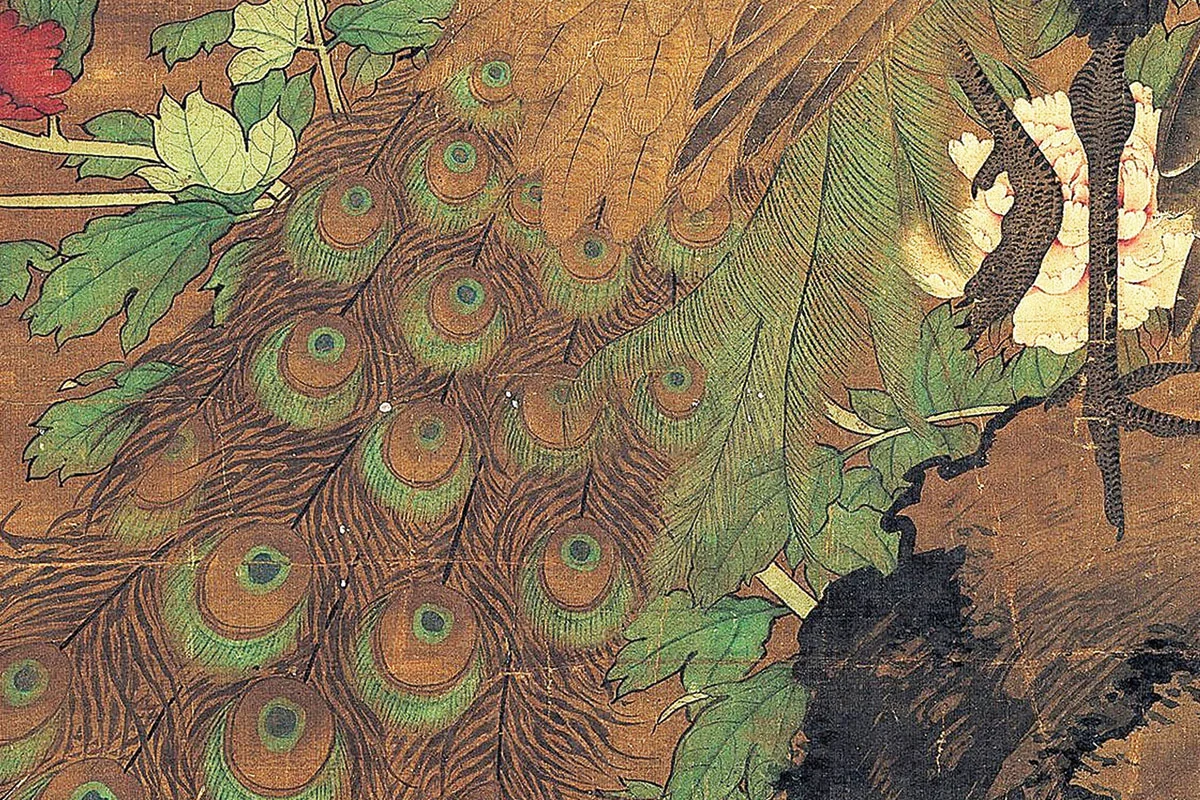 吕纪《杏花孔雀图》局部 (3)