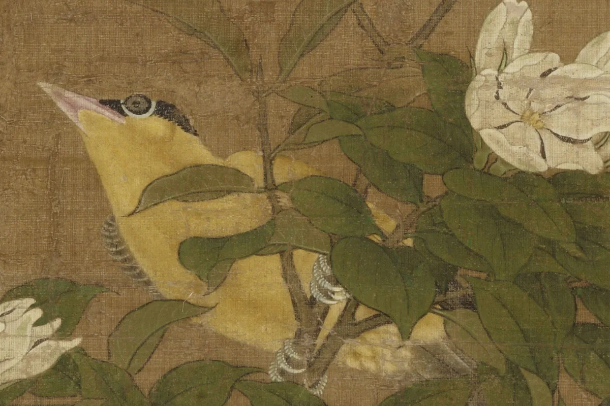 吕纪工笔花鸟画《四季花鸟图之夏》高清大图局部 (2)