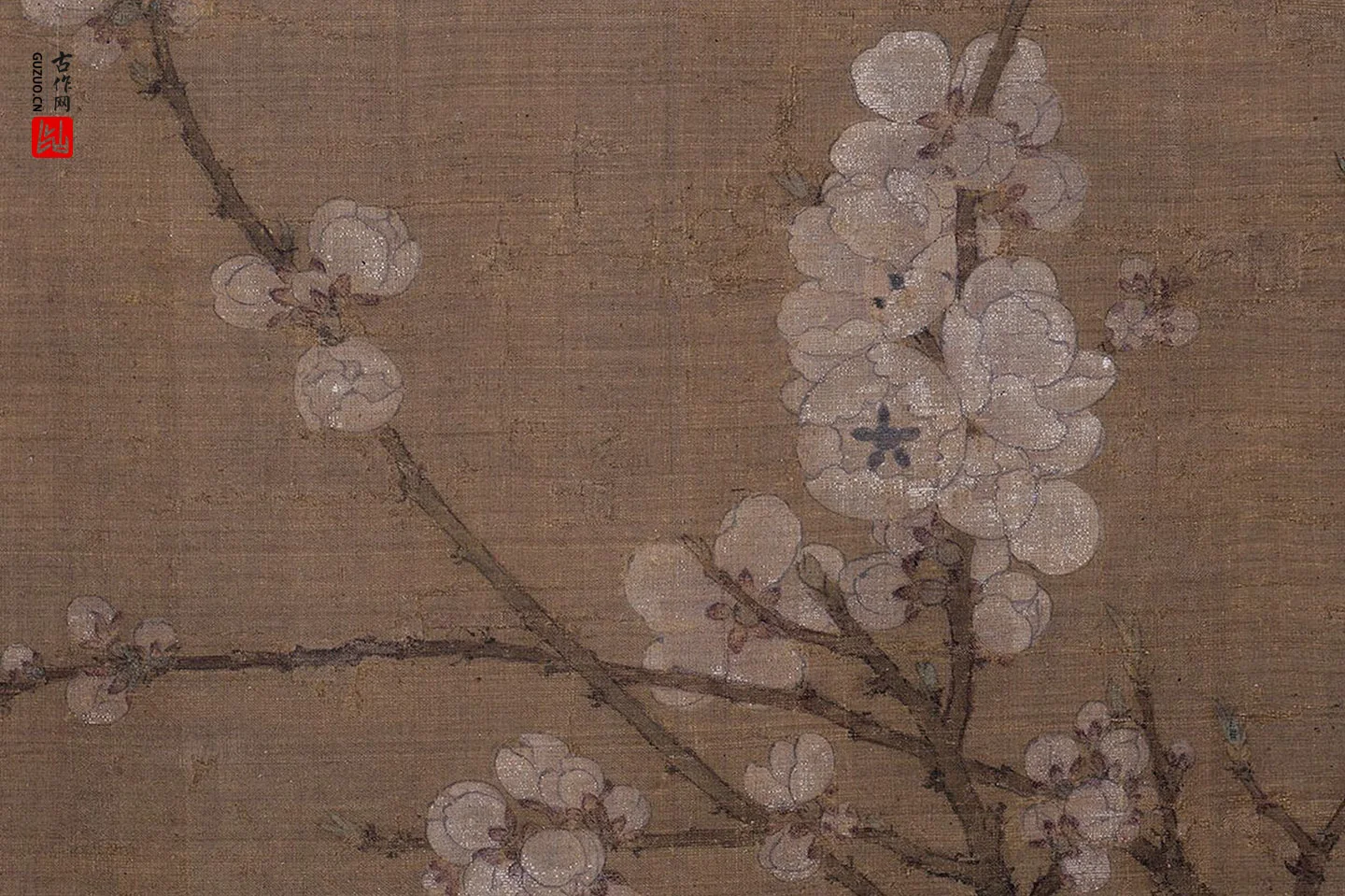 宋徽宗赵佶《五色鹦鹉图》局部 (2)