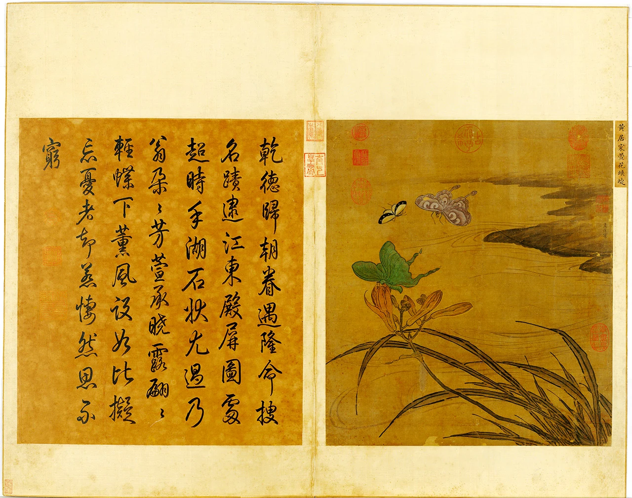 黄居寀《萱花蛱蝶图》