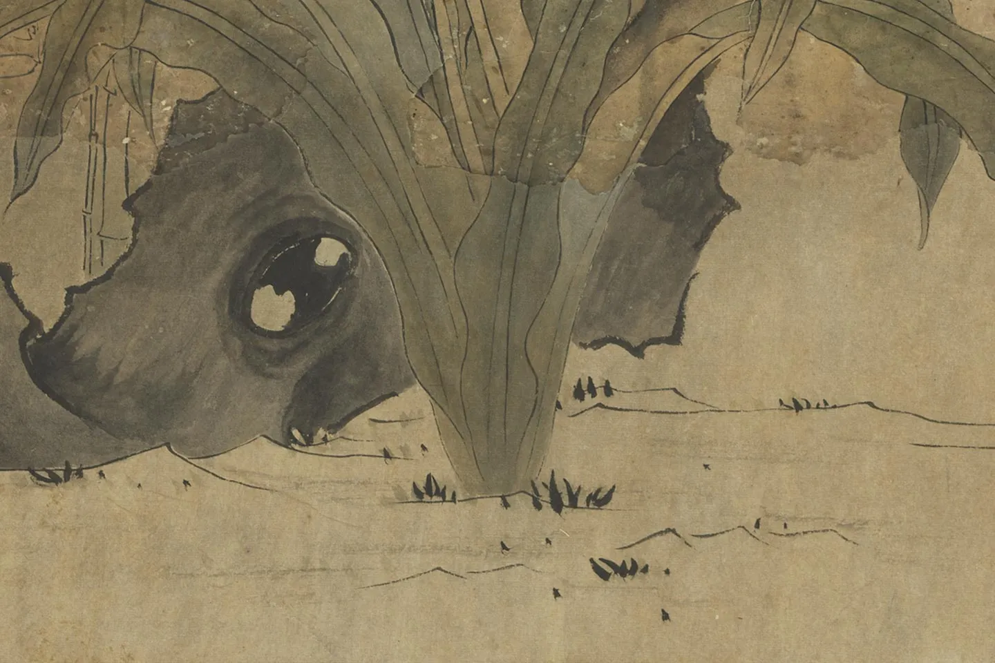 陈洪绶《萱花竹石图》局部 (4)