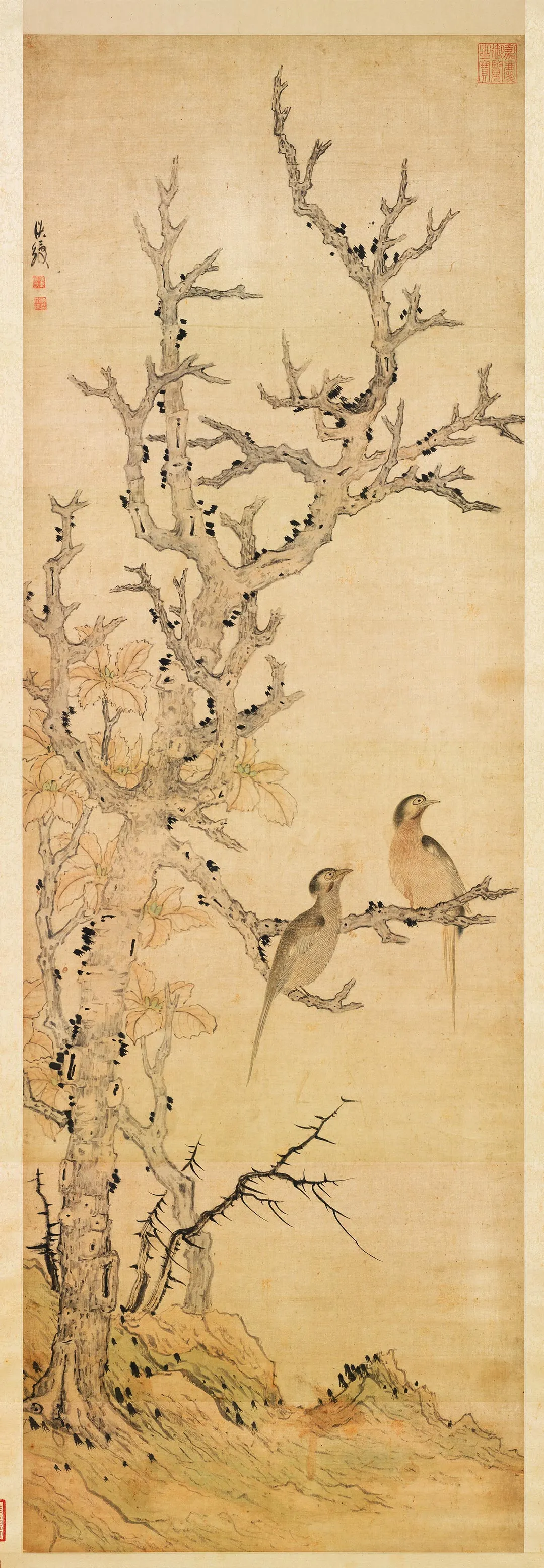 陈洪绶《古木双鸠图》