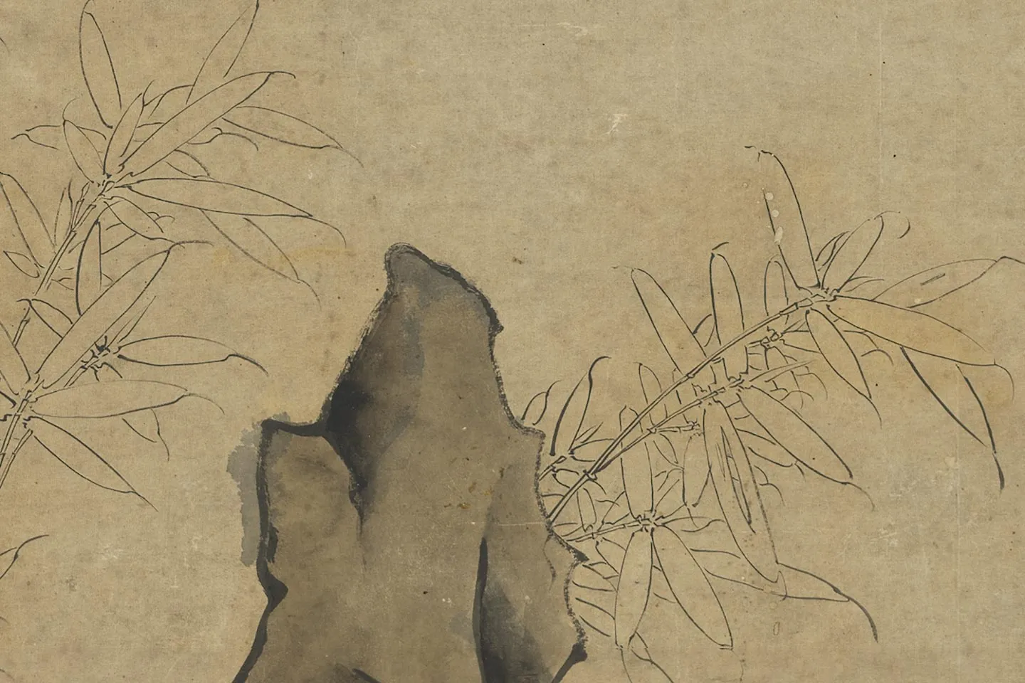 陈洪绶《萱花竹石图》局部 (3)