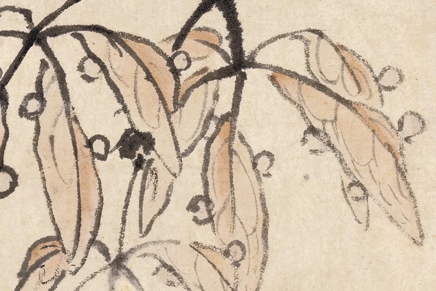 蓝瑛花鸟画《秋色梧桐图》局部 (3)