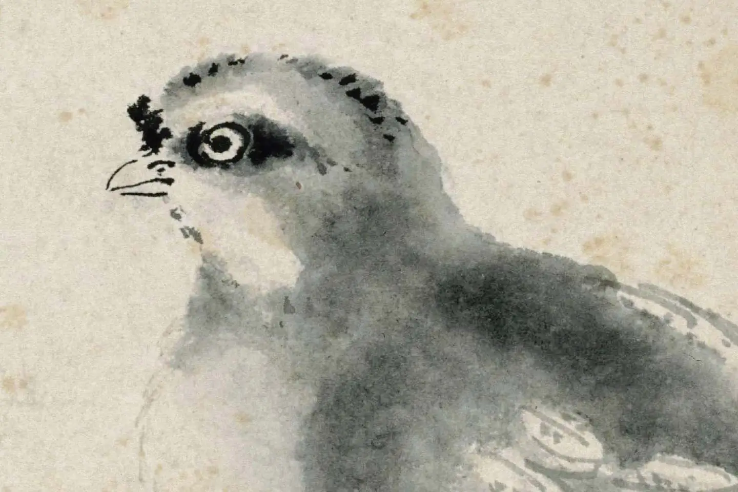 沈周水墨画《雏鸡图》 (1)