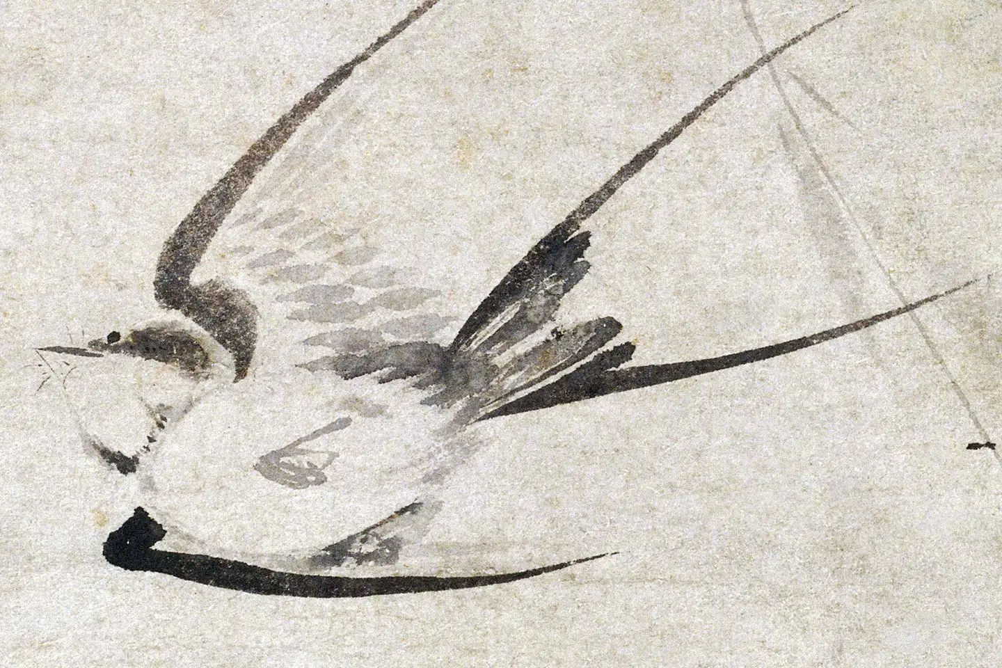 盛昌年《柳燕图》局部 (2)