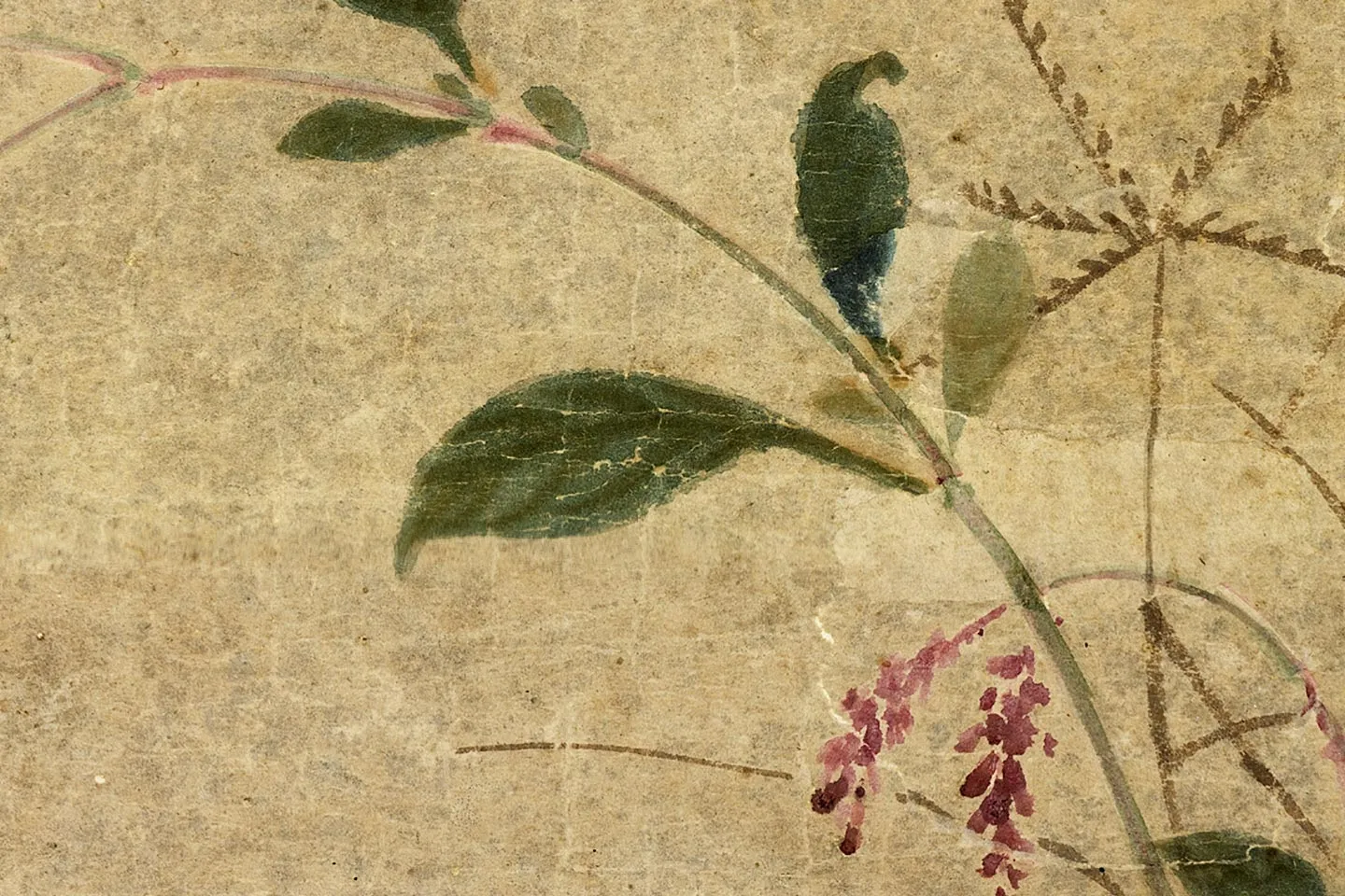 黄居寀《蛤子蝴蝶图》局部 (4)