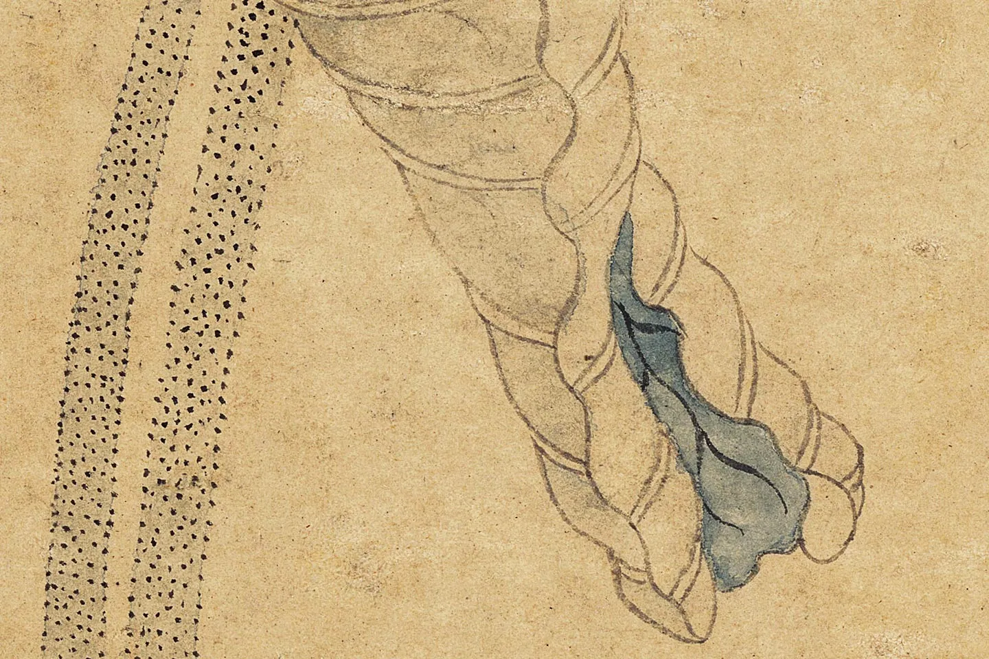 沈周《瓶荷图》高清大图局部 (4)