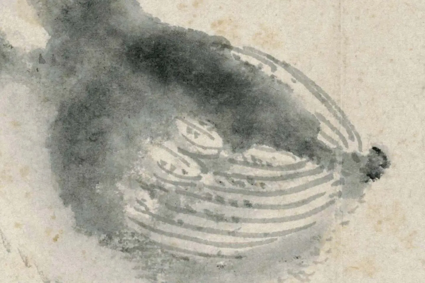 沈周水墨画《雏鸡图》 (3)