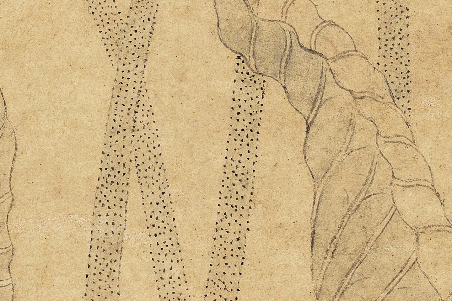 沈周《瓶荷图》高清大图局部 (2)