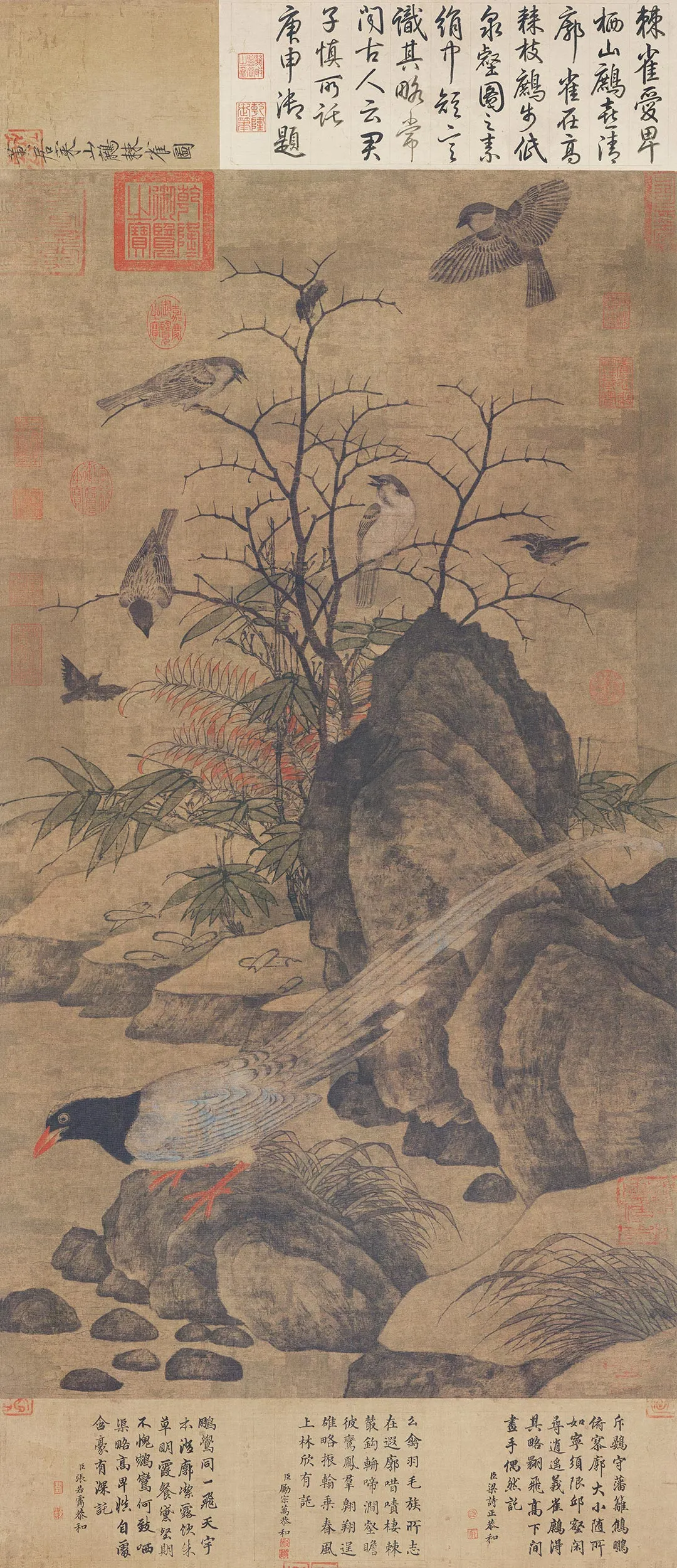 黄居寀《山鹧棘雀图》