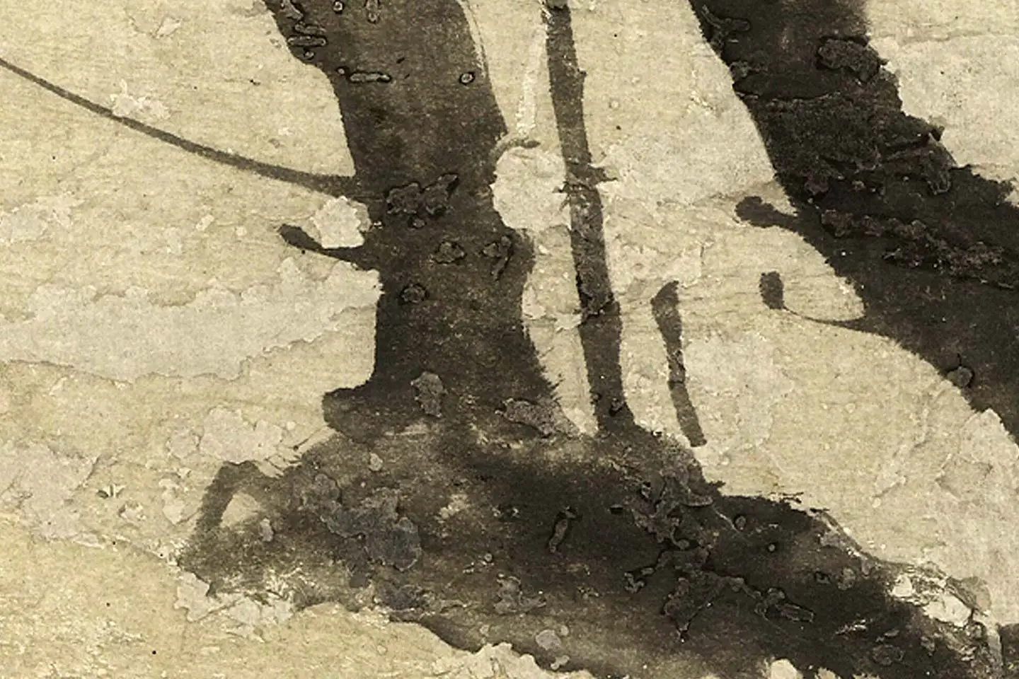 王冕《墨梅图》局部 (6)