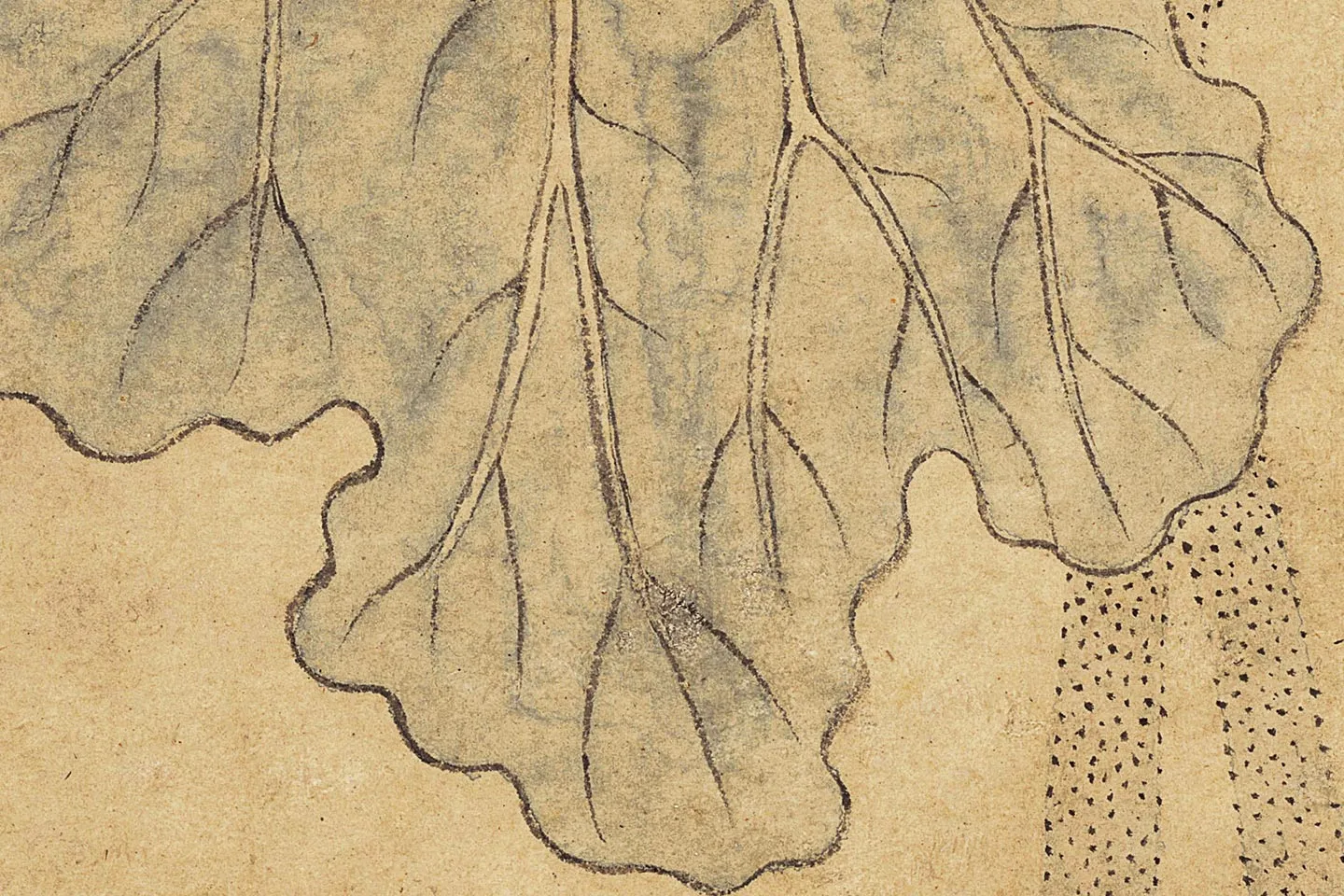 沈周《瓶荷图》高清大图局部 (3)