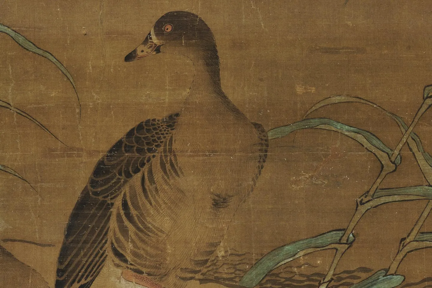 黄居寀《芦雁图》局部 (2)