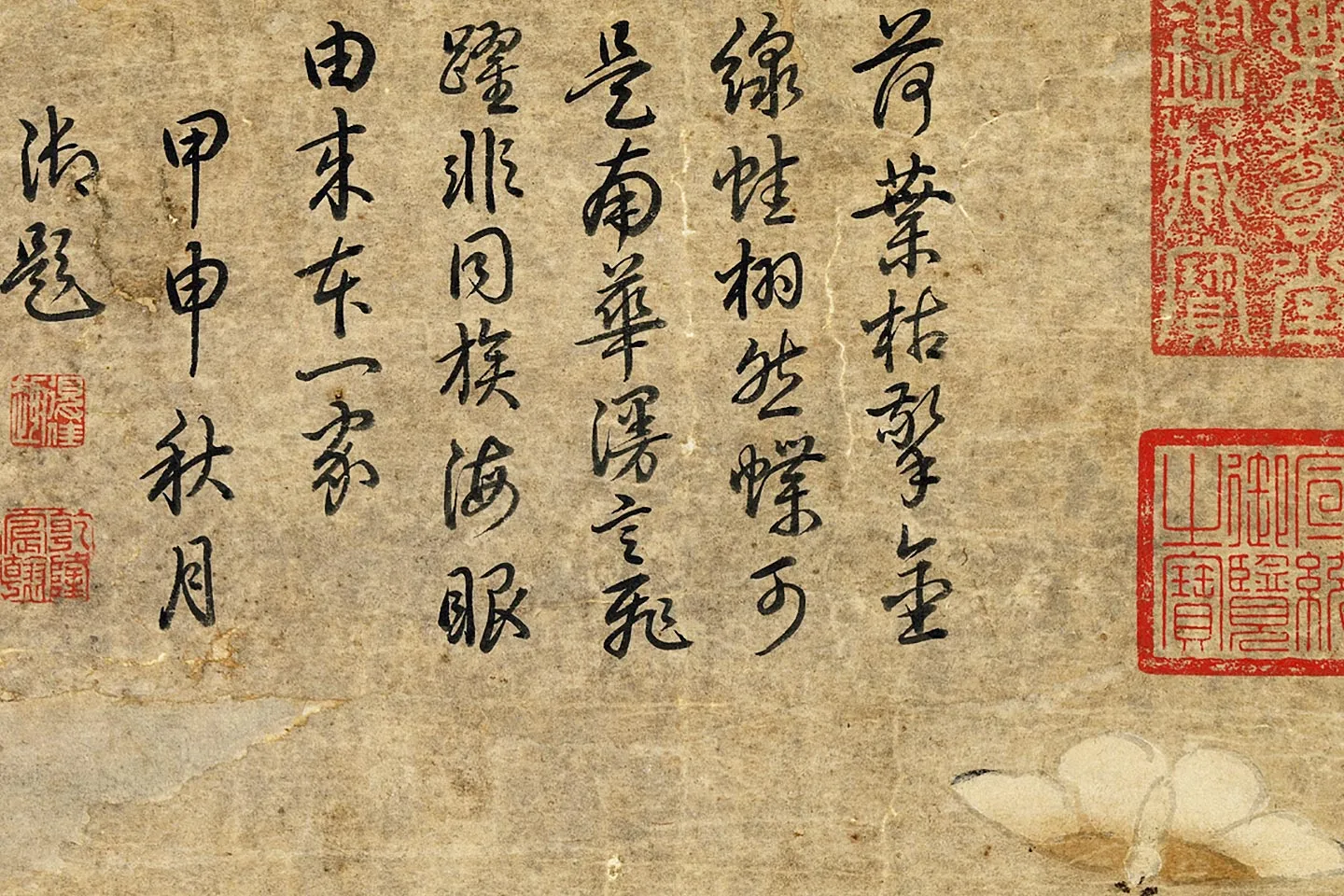 黄居寀《蛤子蝴蝶图》局部 (5)