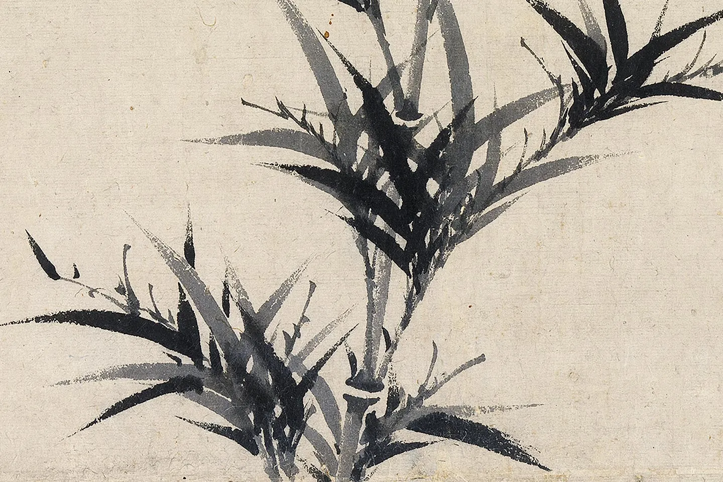 柯九思墨竹《晚香高节图》局部 (7)