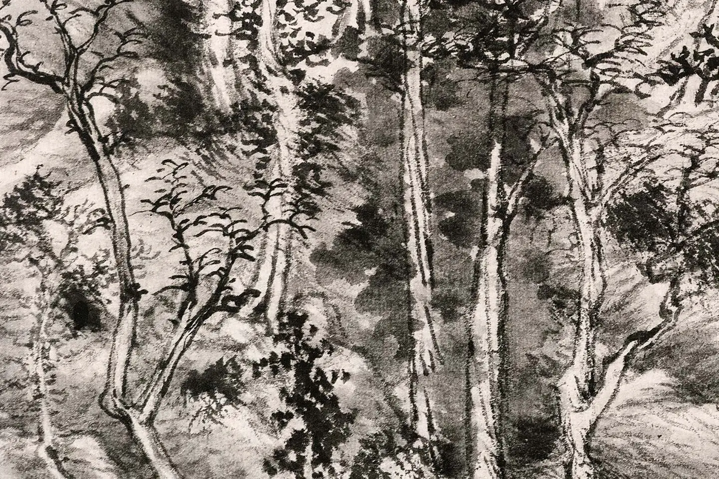 王蒙水墨山水画《青卞隐居图》局部 (11)