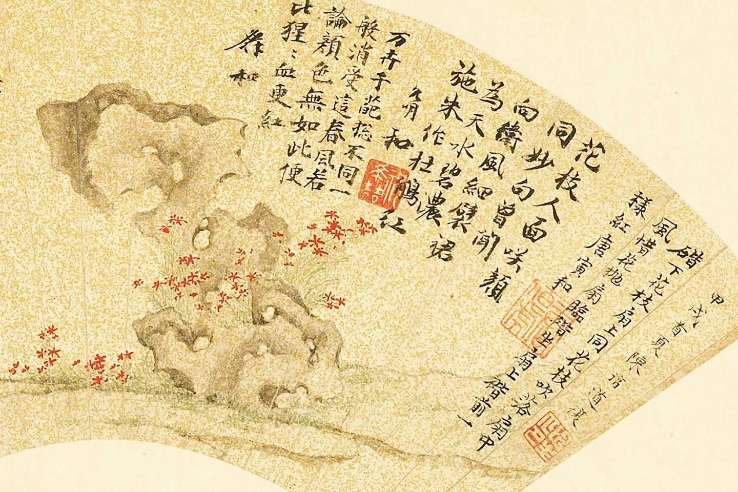 陈淳《丹花奇石》扇面局部 (1)