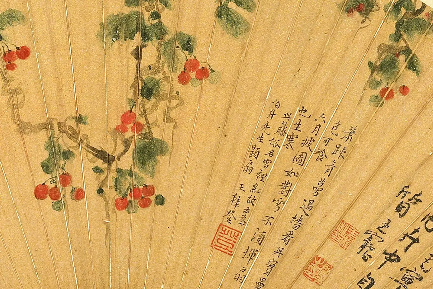 陈淳《雪里红图》扇面局部-1