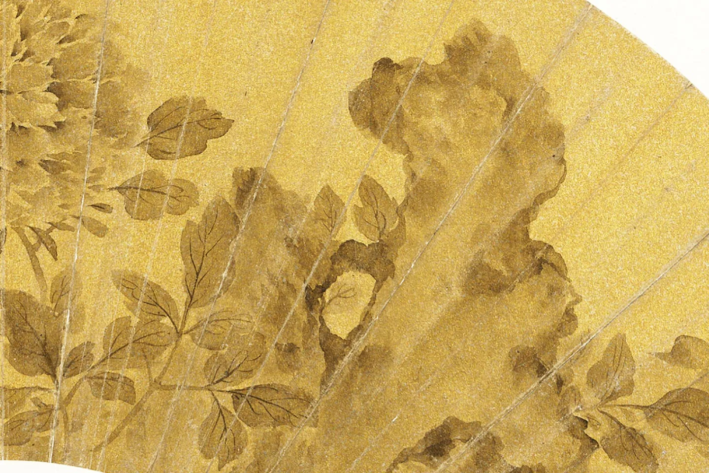 陈淳书画扇面《牡丹》局部 (1)