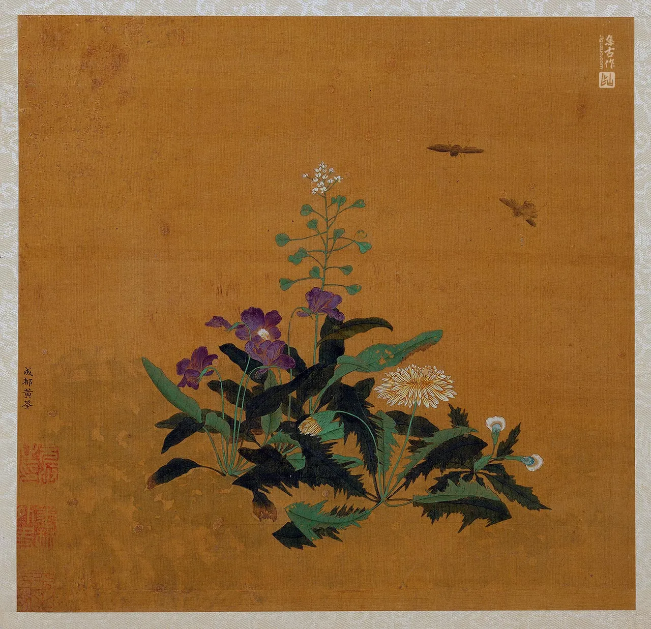 黄筌工笔花卉《荠菜蒲公英》