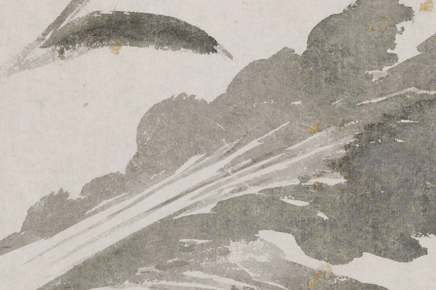 沈周《辛夷墨菜图》局部 (5)