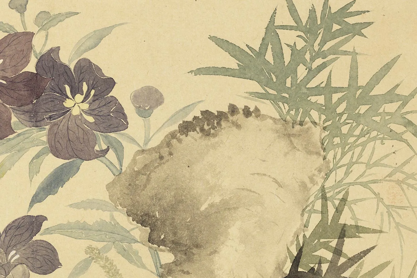 恽寿平花卉《秋花图》局部 (3)