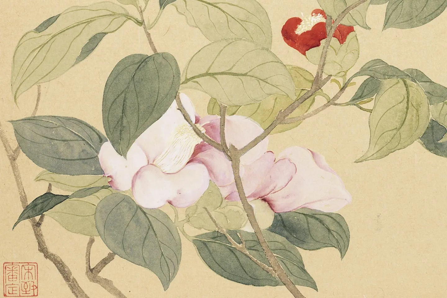 恽寿平花卉《山茶花》局部 (3)
