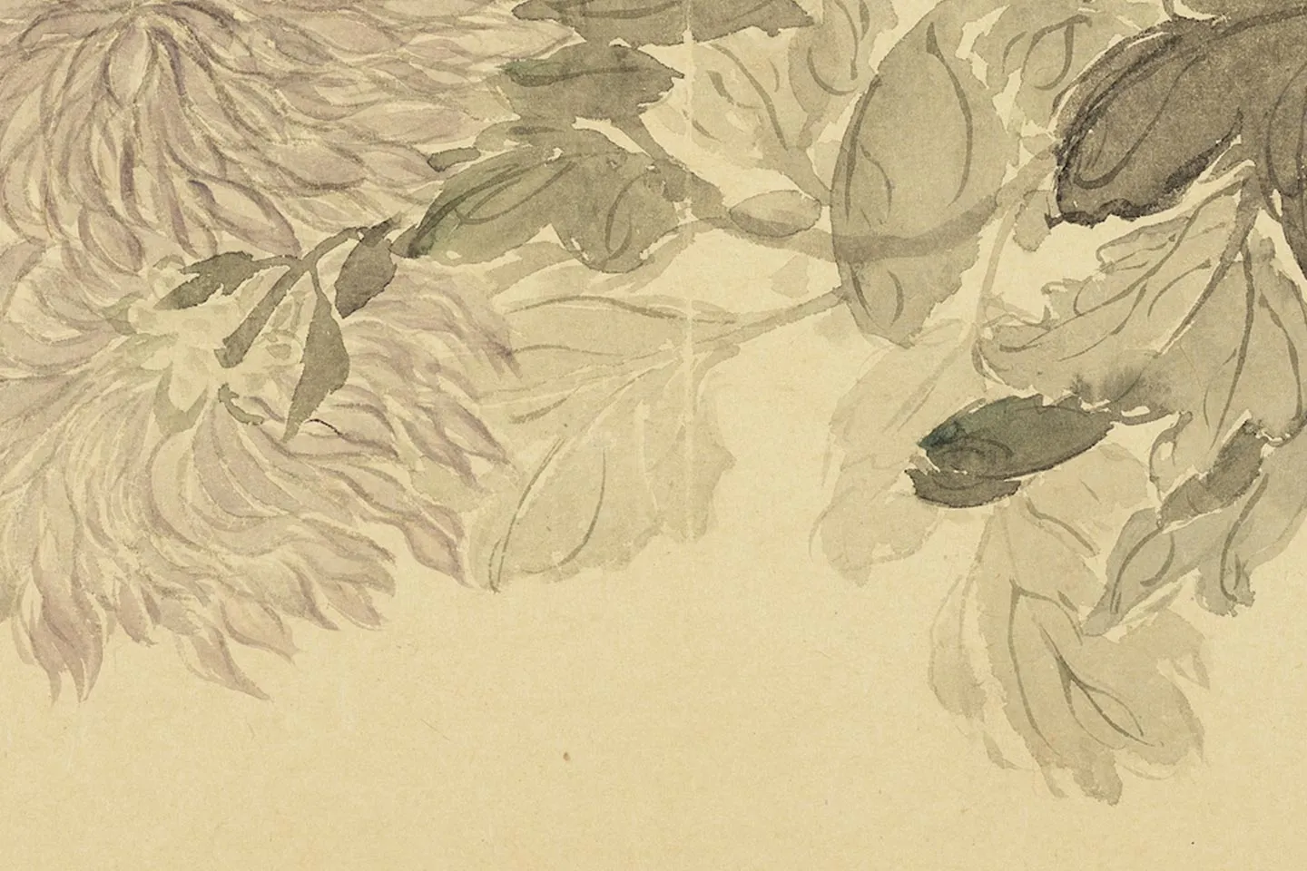 恽寿平花卉《菊花》局部 (3)