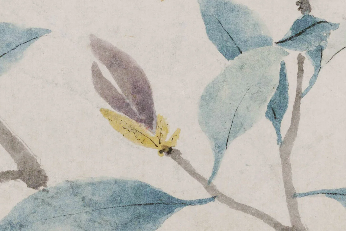 沈周《辛夷墨菜图》局部 (3)